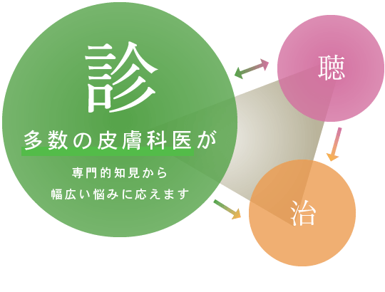 多数の皮膚科医が専門的知見から幅広い悩みに応えます